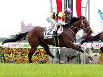 ����å��ǳ��������ɽ�����ޤ�