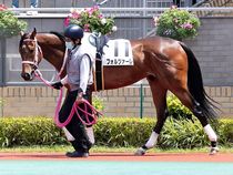 ����å��ǳ��������ɽ�����ޤ�