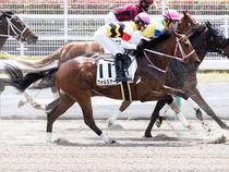 ����å��ǳ��������ɽ�����ޤ�