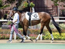 ����å��ǳ��������ɽ�����ޤ�