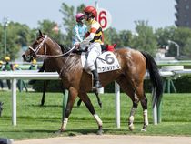 ����å��ǳ��������ɽ�����ޤ�