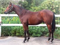 ����å��ǳ��������ɽ�����ޤ�