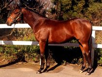 ����å��ǳ��������ɽ�����ޤ�