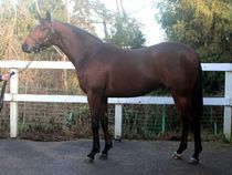 ����å��ǳ��������ɽ�����ޤ�