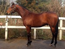 ����å��ǳ��������ɽ�����ޤ�