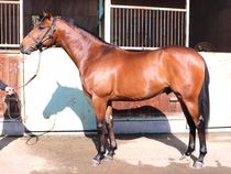 ����å��ǳ��������ɽ�����ޤ�