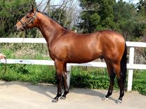 ����å��ǳ��������ɽ�����ޤ�