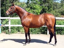 ����å��ǳ��������ɽ�����ޤ�