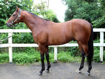 ����å��ǳ��������ɽ�����ޤ�