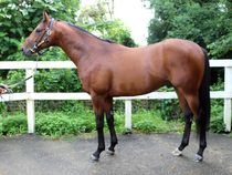 ����å��ǳ��������ɽ�����ޤ�