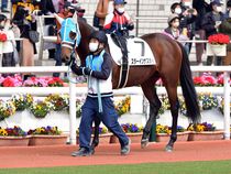 ����å��ǳ��������ɽ�����ޤ�