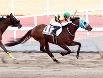 ����å��ǳ��������ɽ�����ޤ�