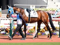 ����å��ǳ��������ɽ�����ޤ�