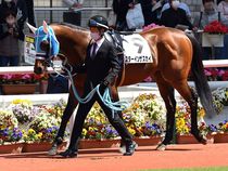 ����å��ǳ��������ɽ�����ޤ�