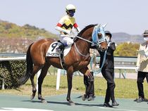 ����å��ǳ��������ɽ�����ޤ�