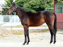 ����å��ǳ��������ɽ�����ޤ�