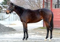 ����å��ǳ��������ɽ�����ޤ�