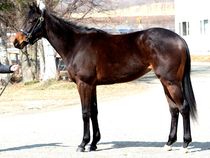 ����å��ǳ��������ɽ�����ޤ�