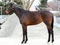 ����å��ǳ��������ɽ�����ޤ�