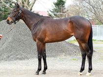 ����å��ǳ��������ɽ�����ޤ�