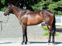 ����å��ǳ��������ɽ�����ޤ�