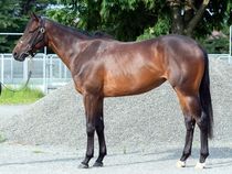 ����å��ǳ��������ɽ�����ޤ�