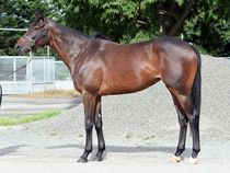 ����å��ǳ��������ɽ�����ޤ�