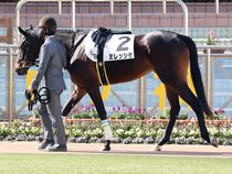 ����å��ǳ��������ɽ�����ޤ�