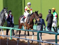 ����å��ǳ��������ɽ�����ޤ�