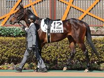 ����å��ǳ��������ɽ�����ޤ�