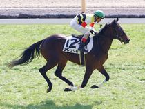 ����å��ǳ��������ɽ�����ޤ�