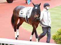 ����å��ǳ��������ɽ�����ޤ�