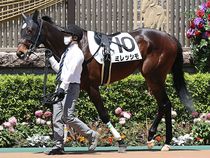 ����å��ǳ��������ɽ�����ޤ�