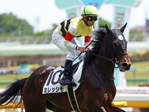 ����å��ǳ��������ɽ�����ޤ�