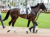 ����å��ǳ��������ɽ�����ޤ�