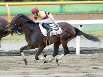 ����å��ǳ��������ɽ�����ޤ�