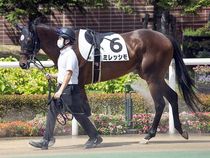 ����å��ǳ��������ɽ�����ޤ�