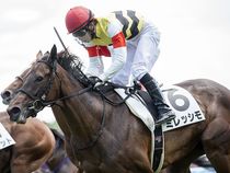 ����å��ǳ��������ɽ�����ޤ�