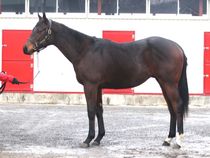 ����å��ǳ��������ɽ�����ޤ�