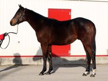 ����å��ǳ��������ɽ�����ޤ�