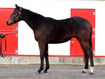 ����å��ǳ��������ɽ�����ޤ�