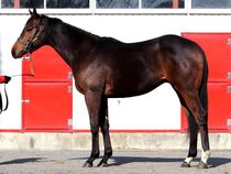 ����å��ǳ��������ɽ�����ޤ�