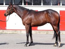 ����å��ǳ��������ɽ�����ޤ�