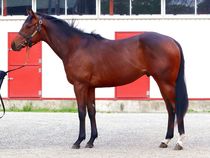 ����å��ǳ��������ɽ�����ޤ�