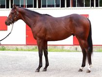 ����å��ǳ��������ɽ�����ޤ�