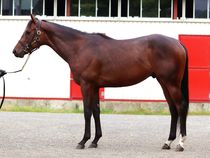 ����å��ǳ��������ɽ�����ޤ�