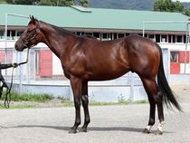 ����å��ǳ��������ɽ�����ޤ�