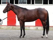 ����å��ǳ��������ɽ�����ޤ�