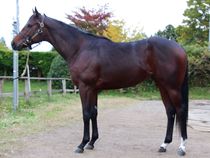 ����å��ǳ��������ɽ�����ޤ�