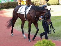 ����å��ǳ��������ɽ�����ޤ�